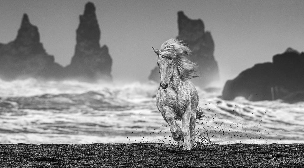 David Yarrow — 5